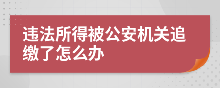 违法所得被公安机关追缴了怎么办