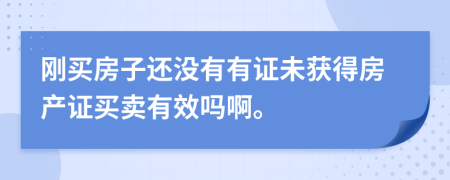 刚买房子还没有有证未获得房产证买卖有效吗啊。