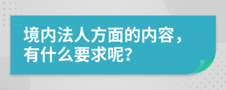 境内法人方面的内容，有什么要求呢？