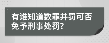 有谁知道数罪并罚可否免予刑事处罚？