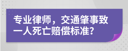 专业律师，交通肇事致一人死亡赔偿标准？