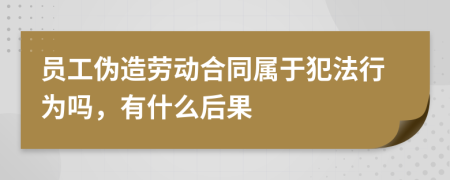 员工伪造劳动合同属于犯法行为吗，有什么后果