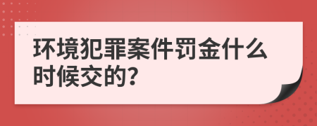 环境犯罪案件罚金什么时候交的？