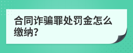 合同诈骗罪处罚金怎么缴纳？