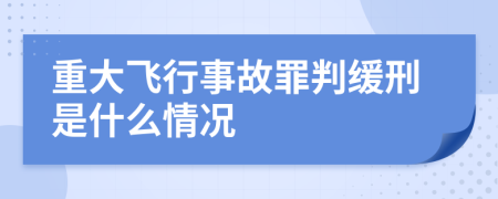 重大飞行事故罪判缓刑是什么情况