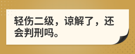 轻伤二级，谅解了，还会判刑吗。