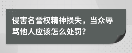 侵害名誉权精神损失，当众辱骂他人应该怎么处罚？