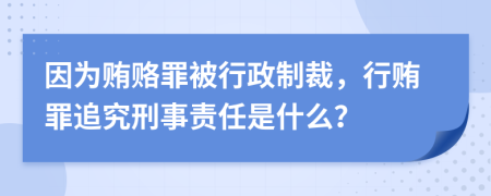 因为贿赂罪被行政制裁，行贿罪追究刑事责任是什么？