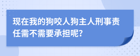 现在我的狗咬人狗主人刑事责任需不需要承担呢？