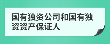 国有独资公司和国有独资资产保证人