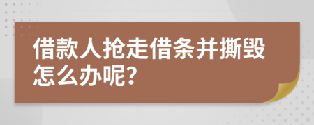 借款人抢走借条并撕毁怎么办呢？