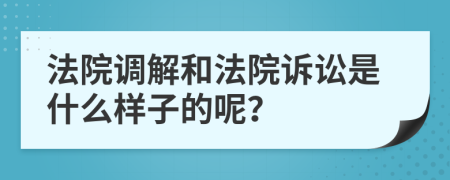 法院调解和法院诉讼是什么样子的呢？