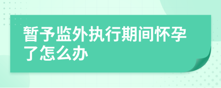 暂予监外执行期间怀孕了怎么办