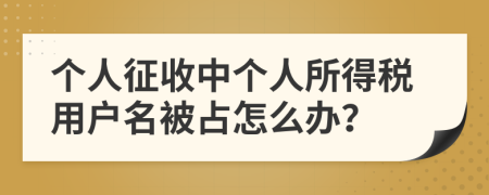 个人征收中个人所得税用户名被占怎么办？