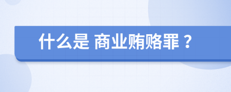 什么是 商业贿赂罪 ？