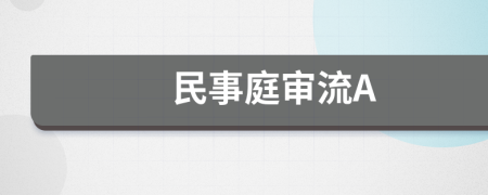 民事庭审流A