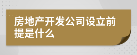 房地产开发公司设立前提是什么