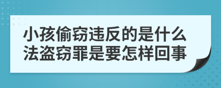 小孩偷窃违反的是什么法盗窃罪是要怎样回事