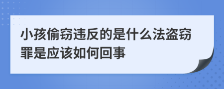 小孩偷窃违反的是什么法盗窃罪是应该如何回事