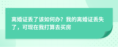 离婚证丢了该如何办？我的离婚证丢失了，可现在我打算去买房