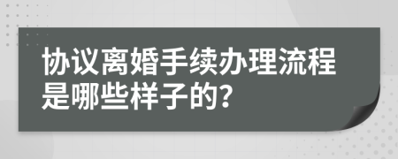协议离婚手续办理流程是哪些样子的？