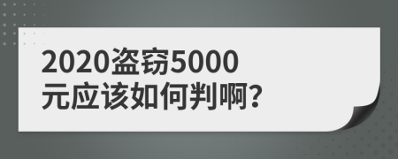 2020盗窃5000元应该如何判啊？