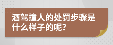 酒驾撞人的处罚步骤是什么样子的呢？