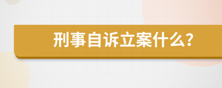 刑事自诉立案什么？
