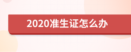 2020准生证怎么办