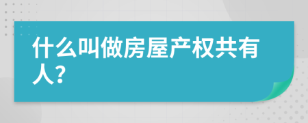 什么叫做房屋产权共有人？