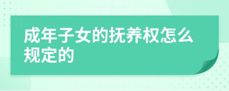 成年子女的抚养权怎么规定的