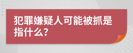 犯罪嫌疑人可能被抓是指什么？