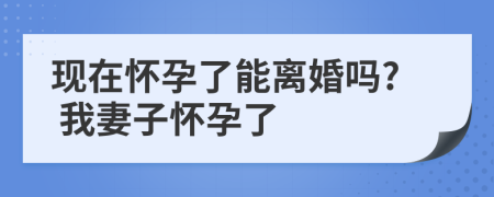 现在怀孕了能离婚吗? 我妻子怀孕了