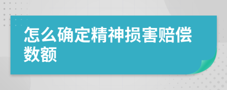 怎么确定精神损害赔偿数额