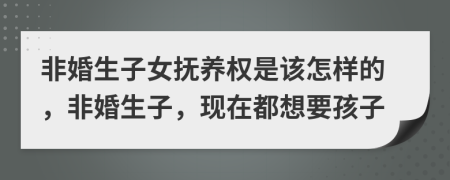 非婚生子女抚养权是该怎样的，非婚生子，现在都想要孩子