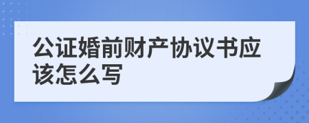 公证婚前财产协议书应该怎么写