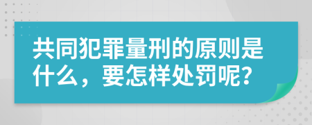 共同犯罪量刑的原则是什么，要怎样处罚呢？