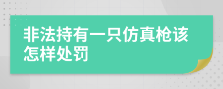 非法持有一只仿真枪该怎样处罚