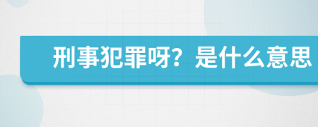 刑事犯罪呀？是什么意思