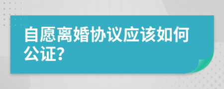 自愿离婚协议应该如何公证？