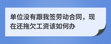 单位没有跟我签劳动合同，现在还拖欠工资该如何办