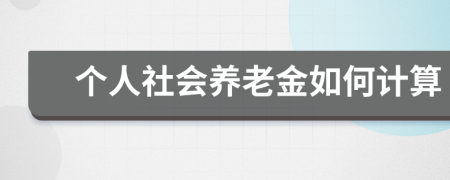 个人社会养老金如何计算