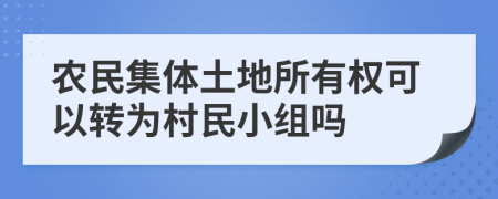 农民集体土地所有权可以转为村民小组吗