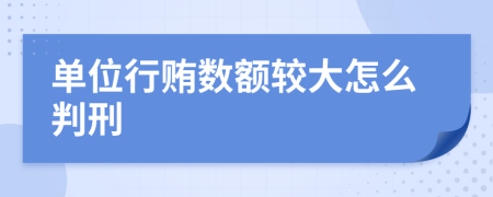 单位行贿数额较大怎么判刑