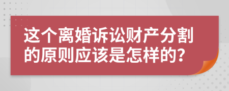 这个离婚诉讼财产分割的原则应该是怎样的？