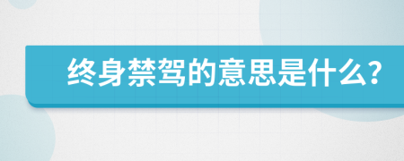 终身禁驾的意思是什么？