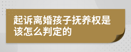 起诉离婚孩子抚养权是该怎么判定的