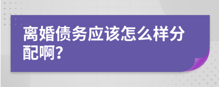 离婚债务应该怎么样分配啊？
