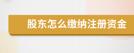 股东怎么缴纳注册资金