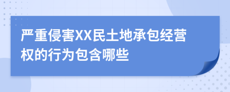 严重侵害XX民土地承包经营权的行为包含哪些